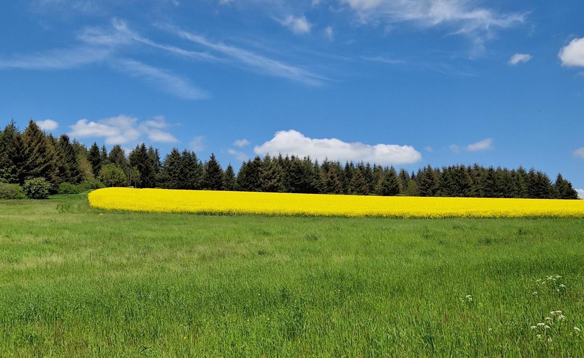 Ferienhaus Egger Üdersdorf Exteriér fotografie